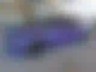 Vehicle Image- 2016 Dodge Charger