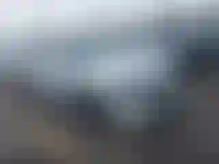 Vehicle Image- 2019 Dodge Charger