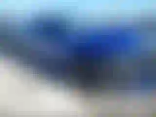 Vehicle Image- 2022 Dodge Charger