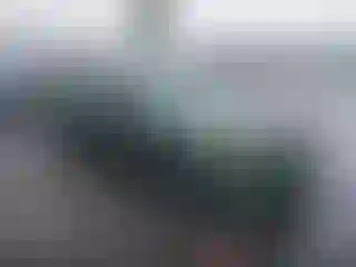 Vehicle Image- 2023 Dodge Charger