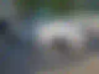 IMPORTOWO.pl