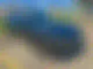 Vehicle Image- 2023 Dodge Charger