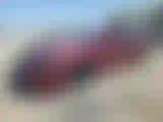 Vehicle Image- 2019 Dodge Charger