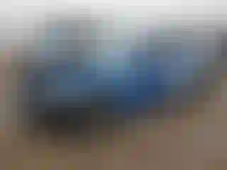 Vehicle Image- 2021 Dodge Charger