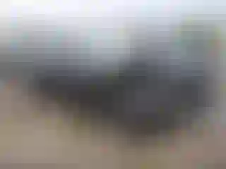 Vehicle Image- 2018 Dodge Charger