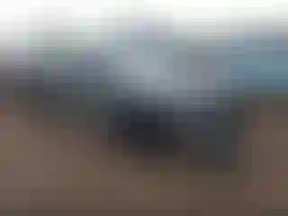 Vehicle Image- 2023 Dodge Charger