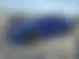 Vehicle Image- 2019 Dodge Charger