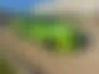 Vehicle Image- 2019 Dodge Charger