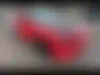 Vehicle Image- 2019 Dodge Charger