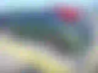 Vehicle Image- 2020 Dodge Charger