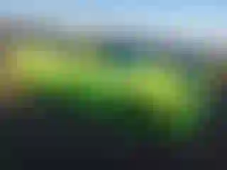 Vehicle Image- 2023 Dodge Charger