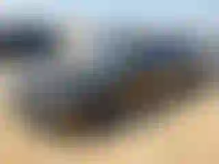 Vehicle Image- 2023 Dodge Charger