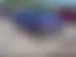 Vehicle Image- 2019 Dodge Charger