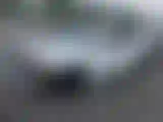 Vehicle Image- 2019 Dodge Charger