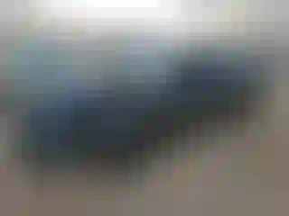 Vehicle Image- 2021 Dodge Charger