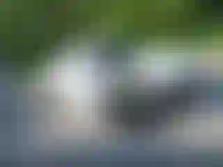 Vehicle Image- 2022 Dodge Charger