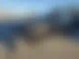 Vehicle Image- 2017 Dodge Charger