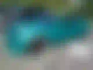 Vehicle Image- 2022 Dodge Charger