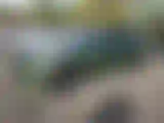 Vehicle Image- 2022 Dodge Charger