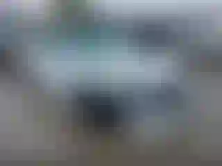 Vehicle Image- 2019 Dodge Charger