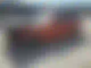 Vehicle Image- 2020 Dodge Charger