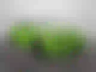 Vehicle Image- 2023 Dodge Charger