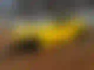 Vehicle Image- 2017 Dodge Charger