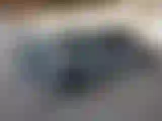 Vehicle Image- 2019 Dodge Charger