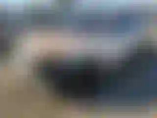 Vehicle Image- 2015 Dodge Charger