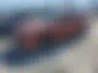 Vehicle Image- 2022 Dodge Charger