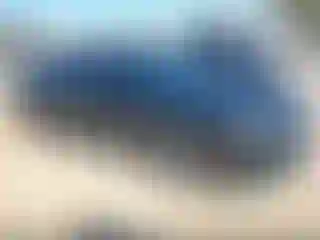 Vehicle Image- 2023 Dodge Charger