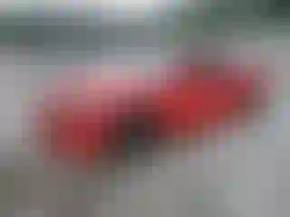 Vehicle Image- 2022 Dodge Charger