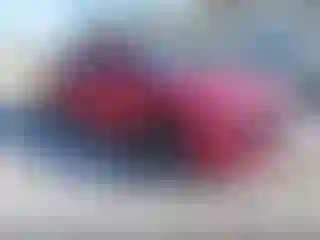 Vehicle Image- 2017 Dodge Charger