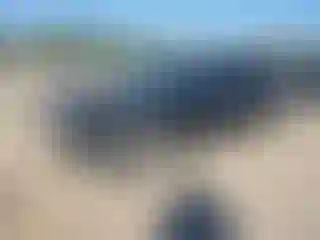 Vehicle Image- 2017 Dodge Charger