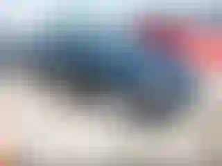 Vehicle Image- 2017 Dodge Charger