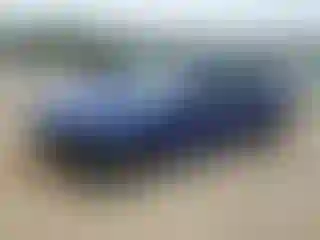 Vehicle Image- 2022 Dodge Charger