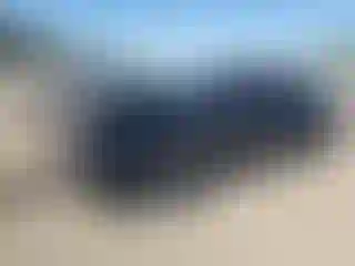 Vehicle Image- 2014 Dodge Charger