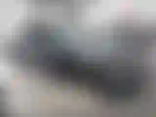 Vehicle Image- 2019 Dodge Charger