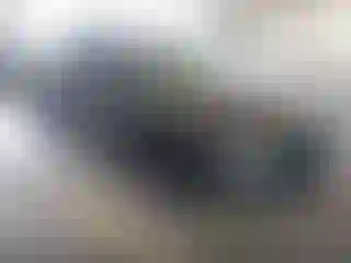 Vehicle Image- 2013 Dodge Charger