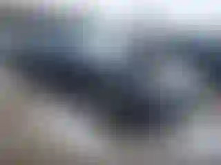 Vehicle Image- 2019 Dodge Charger