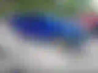 IMPORTOWO.pl