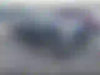 Vehicle Image- 2022 Dodge Charger