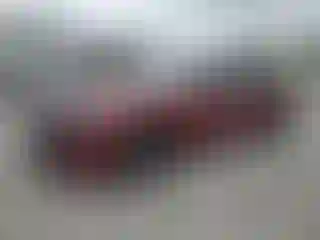 Vehicle Image- 2023 Dodge Charger