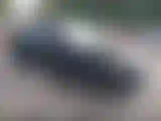 Vehicle Image- 2015 Dodge Charger