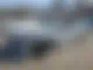 Vehicle Image- 2021 Dodge Charger
