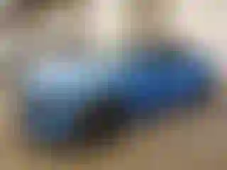 Vehicle Image- 2019 Dodge Charger