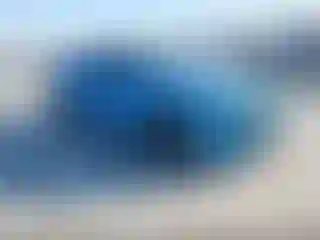 Vehicle Image- 2019 Dodge Charger