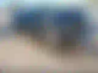 Vehicle Image- 2023 Dodge Charger