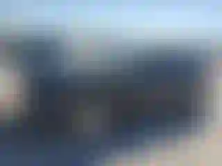 Vehicle Image- 2019 Dodge Charger