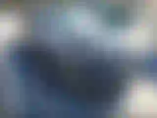 Vehicle Image- 2019 Dodge Charger